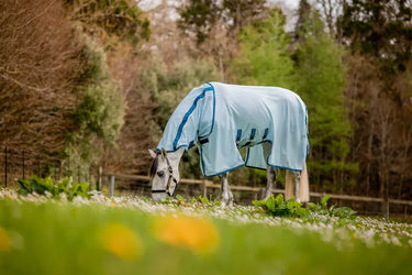 Horseware Ireland Amigo Bug Buster Plus Rug| Online For Equine