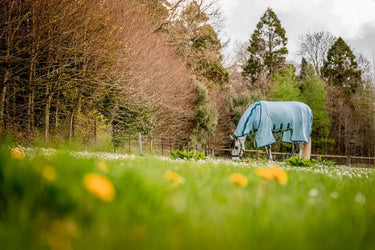 Horseware Ireland Amigo Bug Buster Plus Rug| Online For Equine