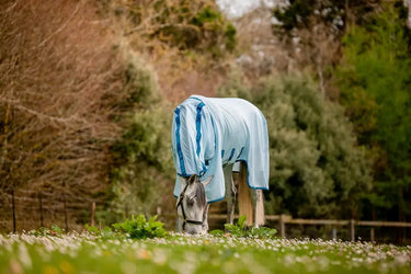 Horseware Ireland Amigo Bug Buster Plus Rug| Online For Equine