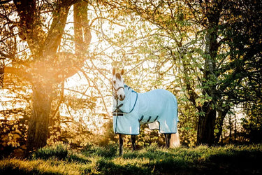 Horseware Ireland Amigo Bug Buster Plus Rug| Online For Equine