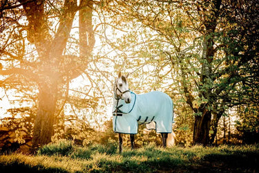 Horseware Ireland Amigo Bug Buster Plus Rug| Online For Equine