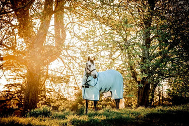 Horseware Ireland Amigo Bug Buster Plus Rug| Online For Equine