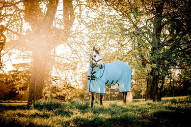 Horseware Ireland Amigo Bug Buster Plus Rug| Online For Equine