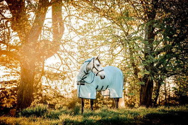 Horseware Ireland Amigo Bug Buster Plus Rug| Online For Equine