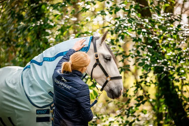 Horseware Ireland Amigo Bug Buster Plus Rug| Online For Equine