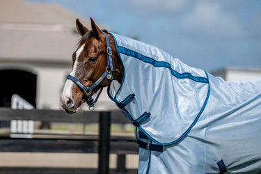 Horseware Ireland Amigo Bug Rug Plus Rug Azure Blue / Navy & Electric Blue| Online For Equine