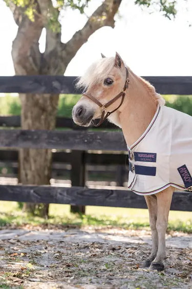 Horseware Ireland Amigo Bug Rug Plus Rug Petite Silver / Lime, Navy, Pink & Blue| Online For Equine