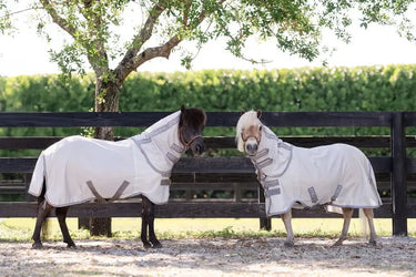 Horseware Ireland Amigo Bug Rug Plus Rug Petite Silver / Titanium Grey & Silver| Online For Equine