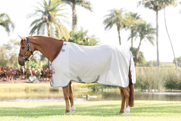 Horseware Ireland Amigo Bug Rug Silver / Titanium Grey & Silver| Online For Equine