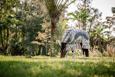 Horseware Ireland Amigo Camofly Plus Rug| Online For Equine