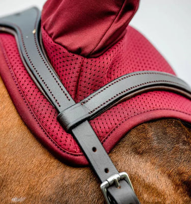 Horseware Ireland Amigo Ear Net Mulberry| Online For Equine