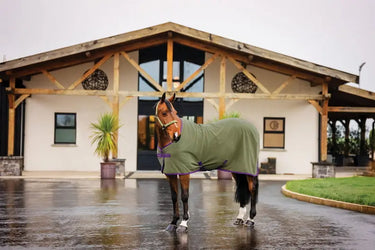 Horseware Ireland Amigo Fleece Cooler Bramble| Online For Equine