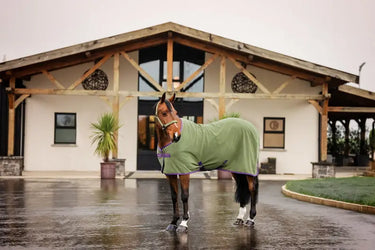 Horseware Ireland Amigo Fleece Cooler Bramble| Online For Equine