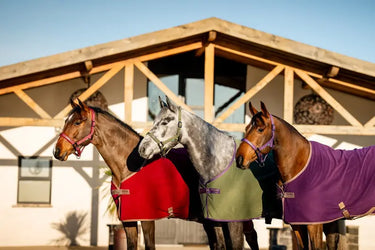 Horseware Ireland Amigo Fleece Cooler Bramble| Online For Equine