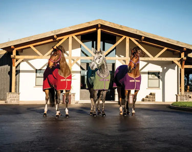 Horseware Ireland Amigo Fleece Cooler Winterberry| Online For Equine