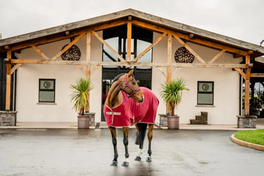 Horseware Ireland Amigo Fleece Cooler Mulberry| Online For Equine