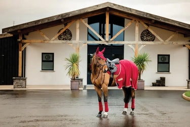 Horseware Ireland Amigo Fleece Cooler Mulberry| Online For Equine