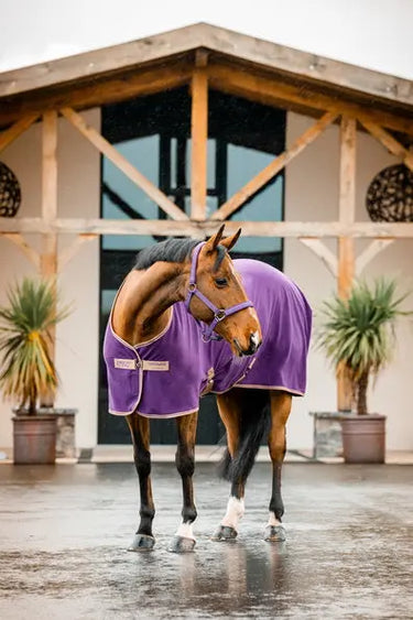 Horseware Ireland Amigo Fleece Cooler Winterberry| Online For Equine