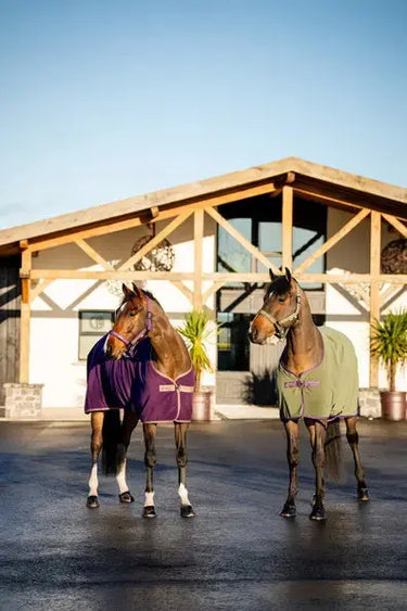 Horseware Ireland Amigo Fleece Cooler Bramble| Online For Equine