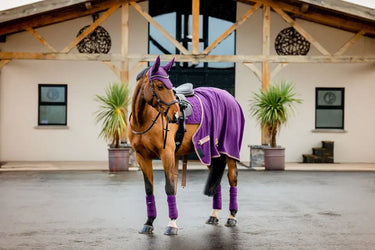 Horseware Ireland Amigo Fleece Cooler Winterberry| Online For Equine