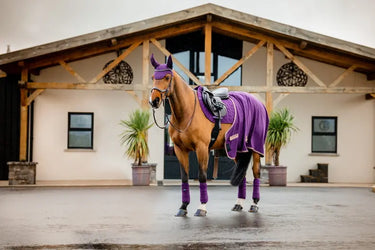 Horseware Ireland Amigo Fleece Cooler Winterberry| Online For Equine