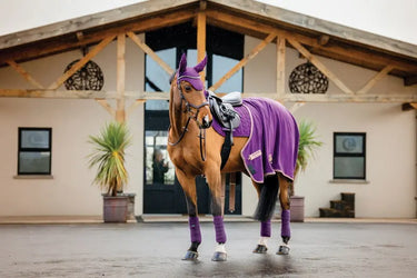 Horseware Ireland Amigo Fleece Cooler Winterberry| Online For Equine