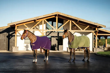 Horseware Ireland Amigo Fleece Cooler Winterberry| Online For Equine