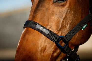 Horseware Ireland Amigo Headcollar & Leadrope Black| Online For Equine