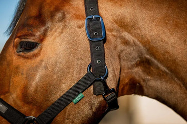 Horseware Ireland Amigo Headcollar & Leadrope Black| Online For Equine