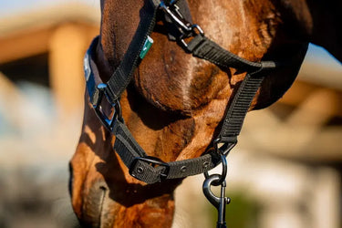 Horseware Ireland Amigo Headcollar & Leadrope Black| Online For Equine