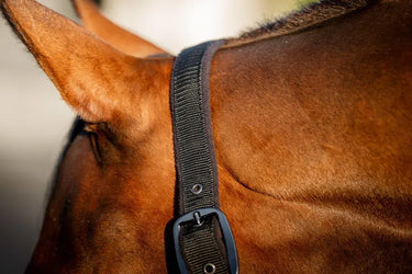 Horseware Ireland Amigo Headcollar & Leadrope Black| Online For Equine