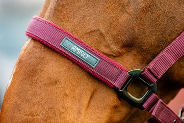 Horseware Ireland Amigo Headcollar & Leadrope Mulberry| Online For Equine