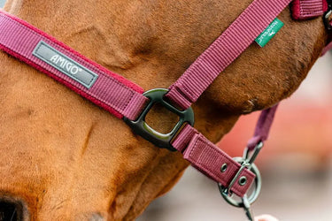 Horseware Ireland Amigo Headcollar & Leadrope Mulberry| Online For Equine