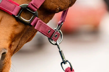 Horseware Ireland Amigo Headcollar & Leadrope Mulberry| Online For Equine