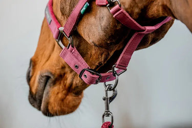 Horseware Ireland Amigo Headcollar & Leadrope Mulberry| Online For Equine