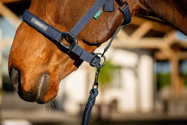 Horseware Ireland Amigo Headcollar & Leadrope Navy| Online For Equine