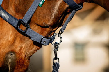 Horseware Ireland Amigo Headcollar & Leadrope Navy| Online For Equine