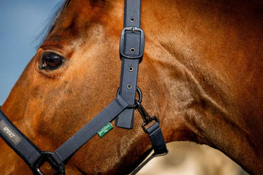Horseware Ireland Amigo Headcollar & Leadrope Navy| Online For Equine