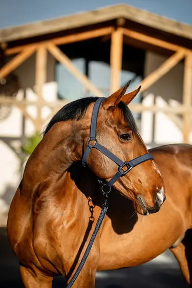 Horseware Ireland Amigo Headcollar & Leadrope Navy| Online For Equine