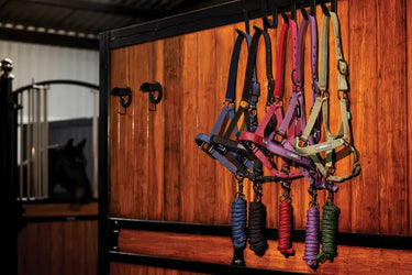 Horseware Ireland Amigo Headcollar & Leadrope Navy| Online For Equine