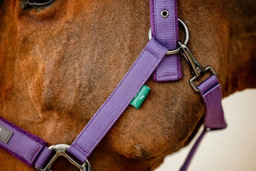Horseware Ireland Amigo Headcollar & Leadrope Winterberry| Online For Equine