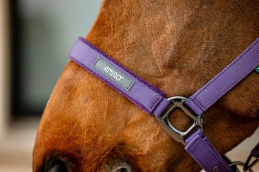 Horseware Ireland Amigo Headcollar & Leadrope Winterberry| Online For Equine