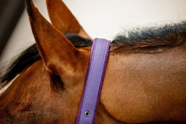 Horseware Ireland Amigo Headcollar & Leadrope Winterberry| Online For Equine