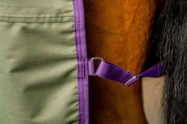 Buy Horseware Ireland Amigo Hero Ripstop Bramble 50g Standard Neck Turnout Rug | Online for Equine