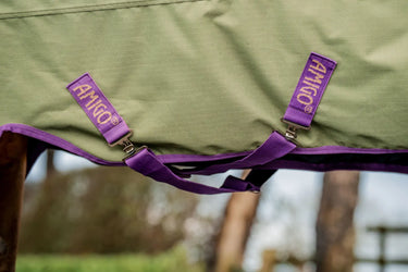 Buy Horseware Ireland Amigo Hero Ripstop Bramble 50g Standard Neck Turnout Rug | Online for Equine