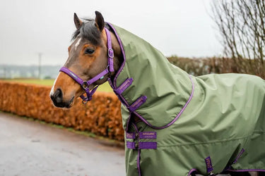 Buy Horseware Ireland Amigo Hero Ripstop Plus 100g Detachable Neck Bramble Turnout Rug | Online for Equine