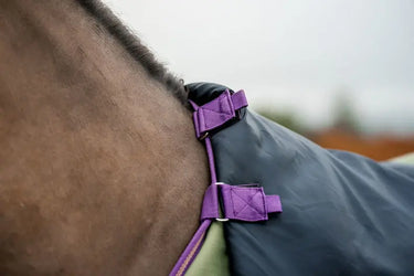 Buy Horseware Ireland Amigo Hero Ripstop Plus 100g Detachable Neck Bramble Turnout Rug | Online for Equine
