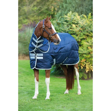 Buy Horseware Ireland Amigo Insulator Medium 200g Stable Rug With Detachable Neck| Online for Equine
