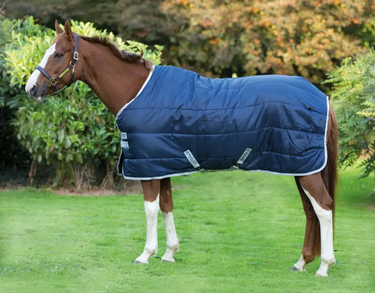 Buy Horseware Ireland Amigo Insulator Medium 200g Stable Rug| Online for Equine