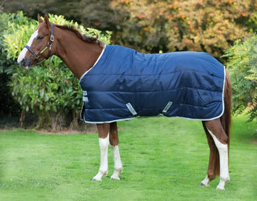Buy Horseware Ireland Amigo Insulator Medium 200g Stable Rug| Online for Equine